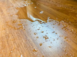 puddle-on-hardwood-floor